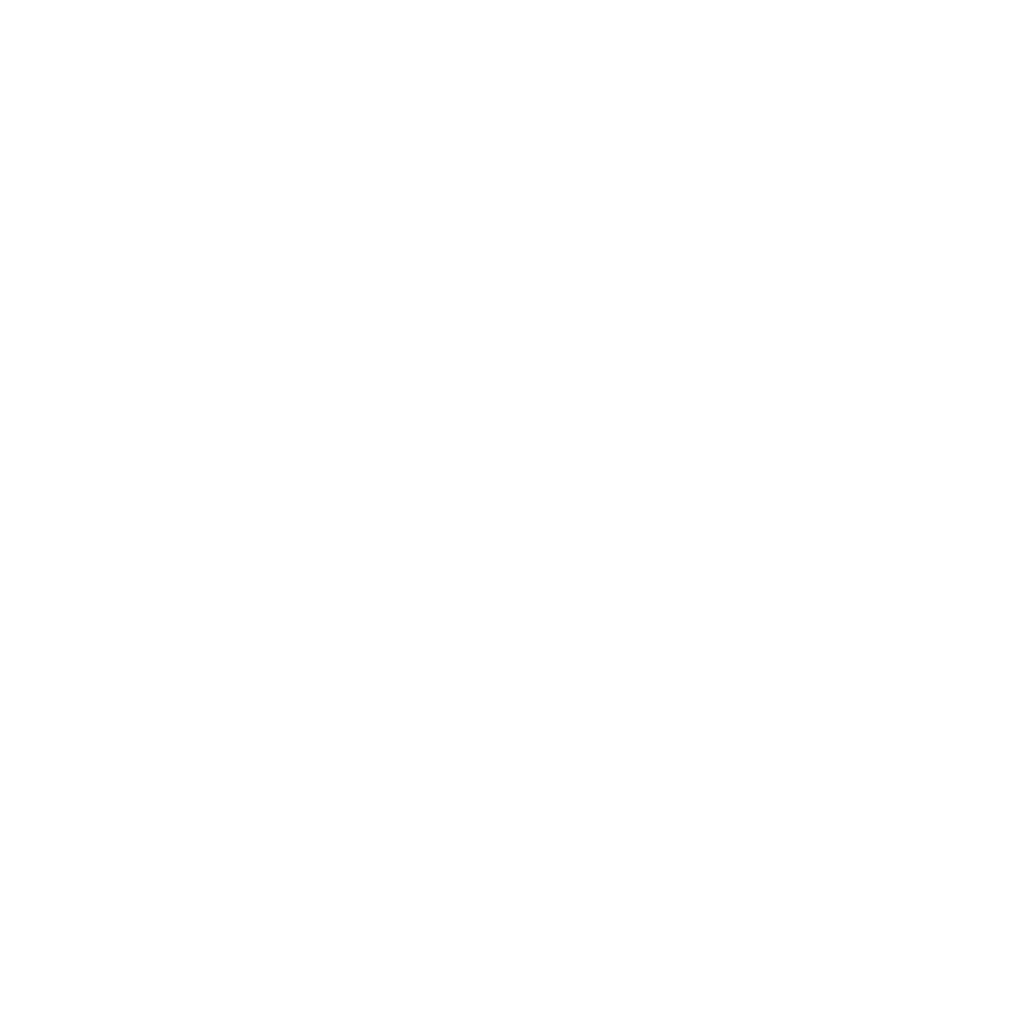LeenoRise Logo